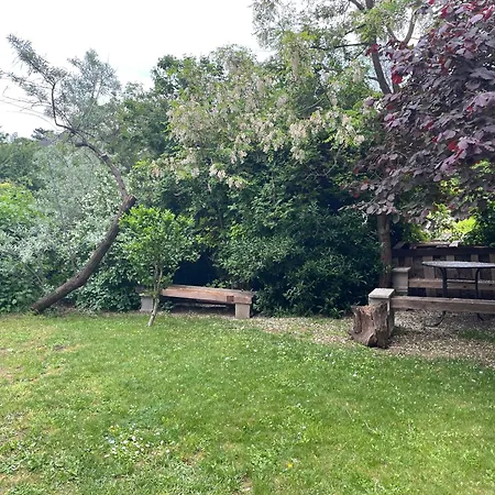 Studio Apartmanok Lejlighed Balatonfüred