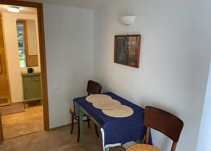 Studio Apartmanok
